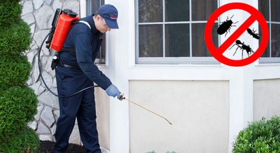 Kangal Akrep İlaçlama böcek ilaçlama ve haşere kontrolü — ilaclama-tr.com